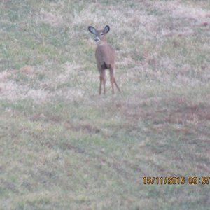 Meet your Posher, Lynn